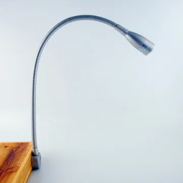 Flexible Snake 12V Desk Lamp - Goose Neck Table Reading Lamp for Bedroom