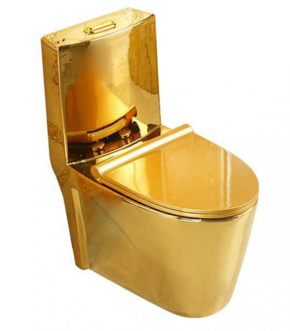 G1009gold One Piece Toilet