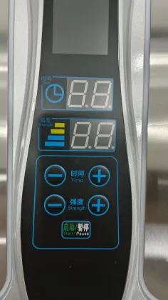 PEMF and Terahertz Therapy Foot Device for Healthcare