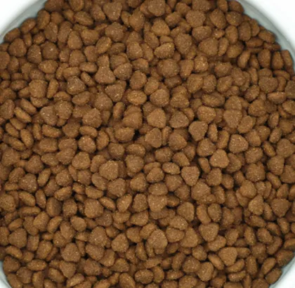 High Nutrition Delicious Taste for Dogs Healthy Diet
