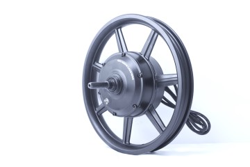 ebike Integrated Wheel Motor 48V
