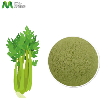 Health Product Material Dehydration Celery Juice Powder