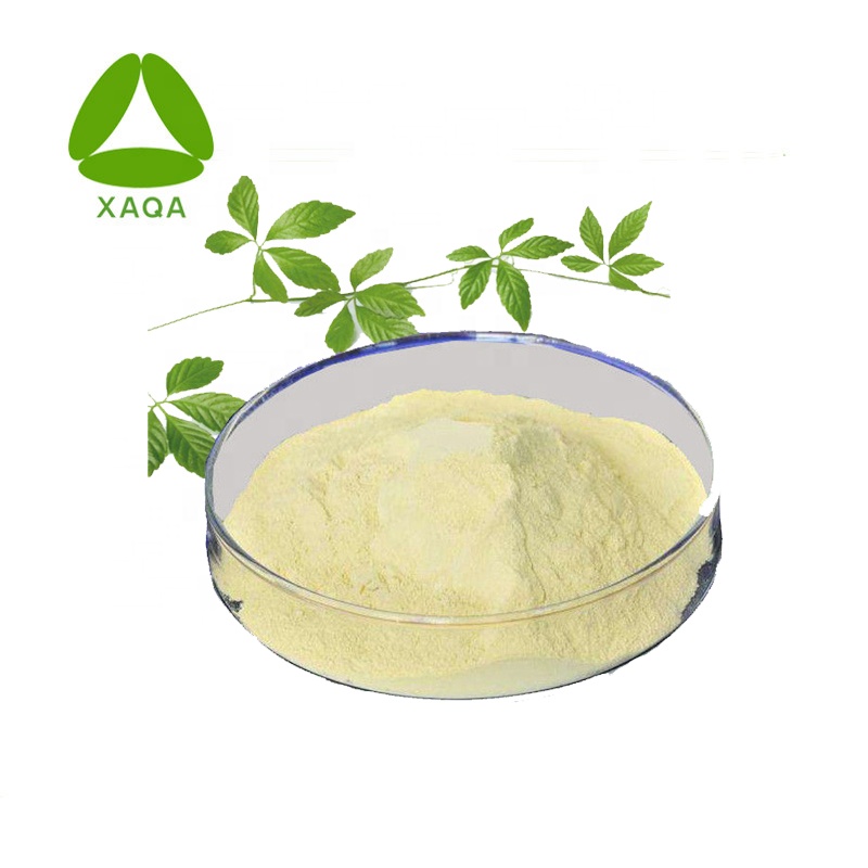 Gynostemma Pentaphyllum Extract 98% Gypenosiden Poeder