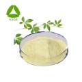 Gynostemma Pentaphyllum Extract 98% Gypenosides Powder