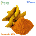 Nano-curcumin Turmeric Extract nano curcumin nano powder