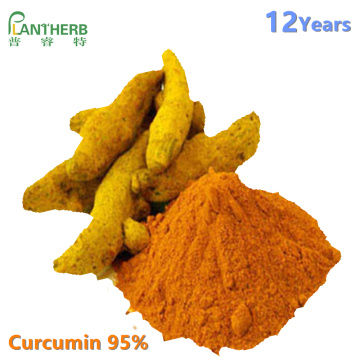 Extrait de racine de curcuma biologique Curcumine Poudre de curcumine