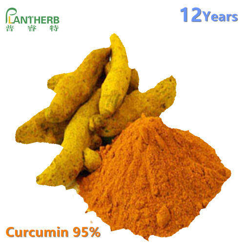 Bio-Kurkuma-Wurzel-Extrakt Curcumin Curcumin-Pulver