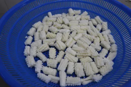 Seafood Cut for Wholesale Squid Frozen Squid Flower