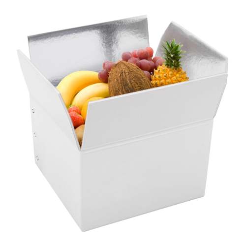 Embalaje de protección en frío con cajas de espuma de lámina aisladas