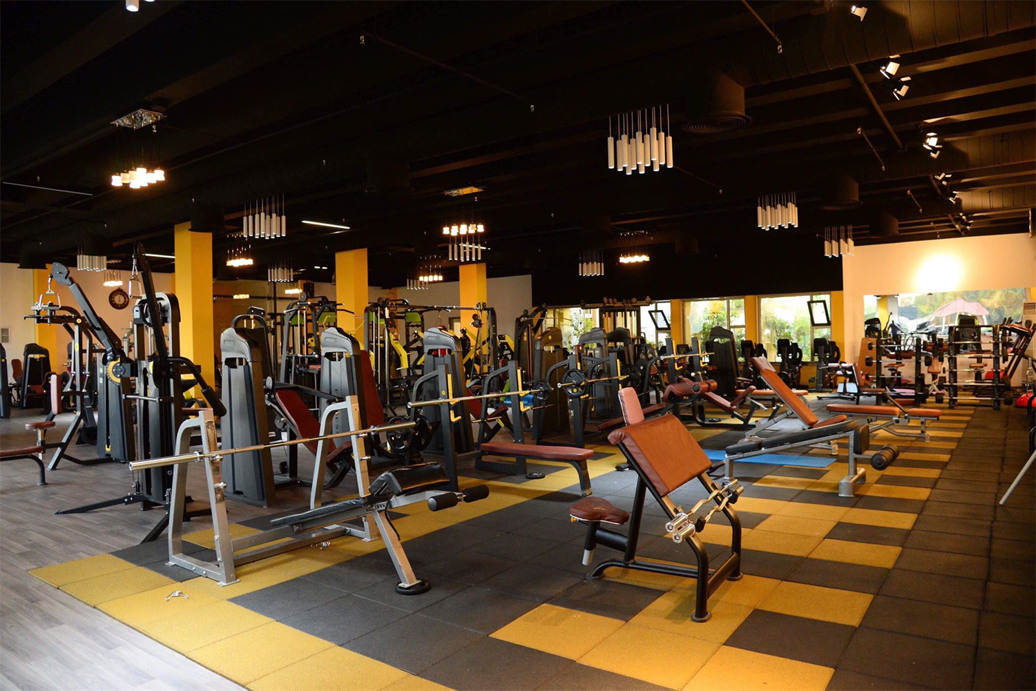 Gym equipment manufacturer