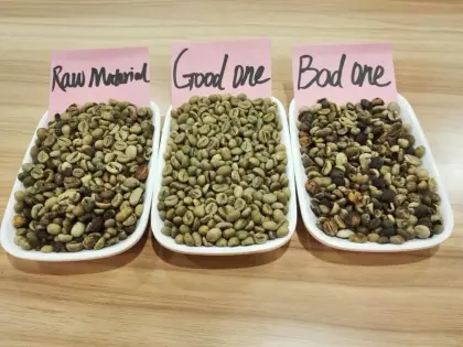  Coffee Nut Color Sorting Machine: Meyer Rice and Satake Color Sorter Prices