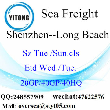 Transporte marítimo de frete marítimo de Shenzhen para Long Beach