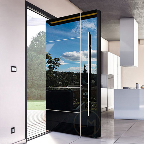 Black Mirror Design Stainless Steel Pivot Door Entry