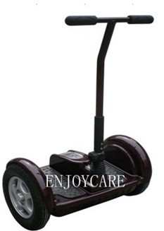 Electric Chariot (EC28)
