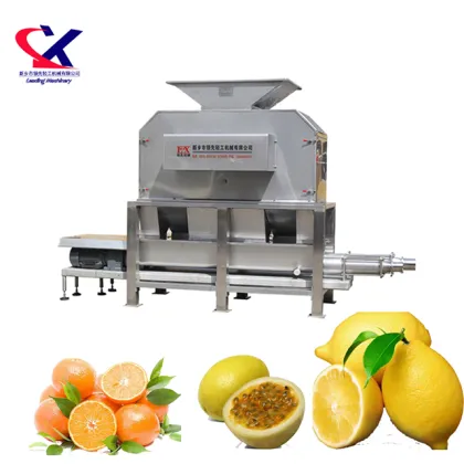 Professional Green Banana Manufacturers: Jam Making and Banana Grinding Machines