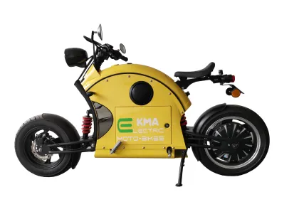 Hot Selling X260 Electric Motorcycles - Sports Cruiser Bicycles (Old Edition)