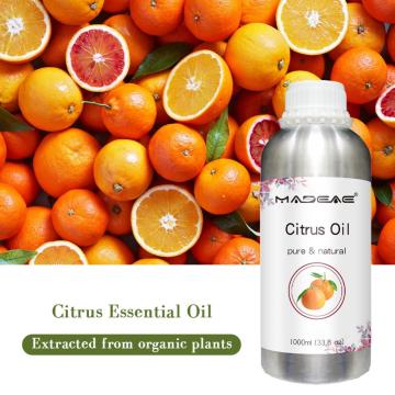 Aceite esencial 100% mezclado orgánico de alta calidad 15 ml Despertar cítricos frescos Cítricos Al por mayor OEM Etiqueta privada aceptada
