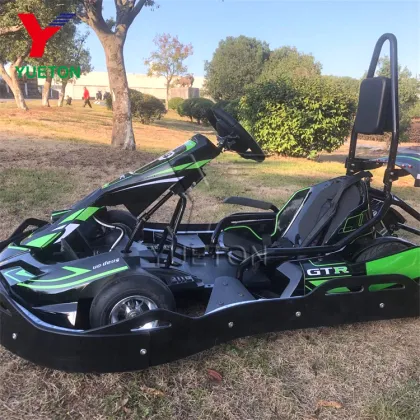 Hot Sale Go Kart Pro High Speed Kids Racing Go Karting Adult Racing Go Kart For Sale Max Speed 60Km/H