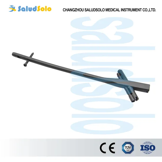 Medical TriGen InterTAN Nail