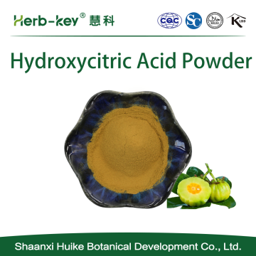 Garcinia cambogia extract 60% hydroxycitric acid powder