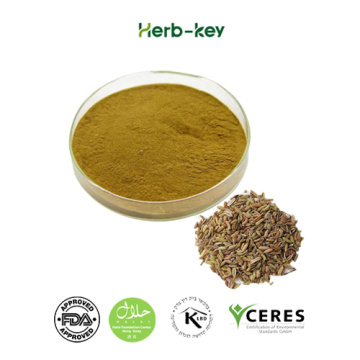 Herbal Extracts Fennel Extract Powder