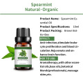 SpearMint SpearMint de etiqueta privada de venta caliente