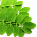 Moringa Leaf Powder Bulk