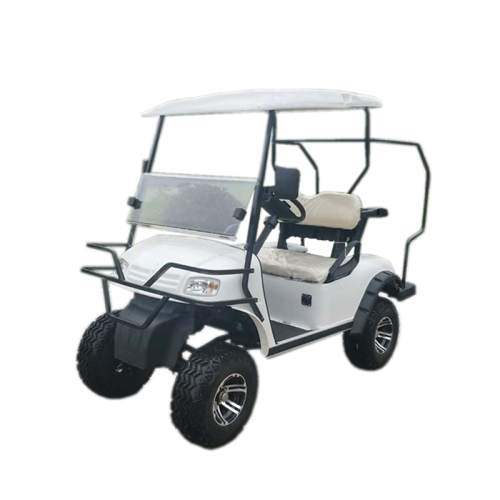Voiturette de golf tout-terrain électrique 2 places 4WD