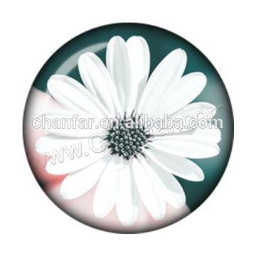 Popular design plant style glass snap buttons jewelry for leather bracelet (12mm,18mm)