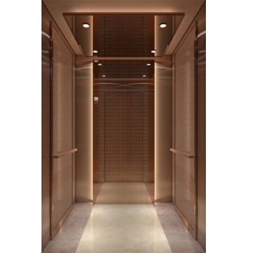 Fuji Hospital Elevator with Large Space for Hotel Applications