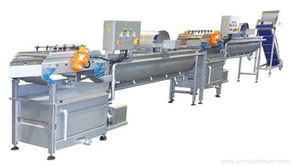 Fruit And Vegetable Process Machines