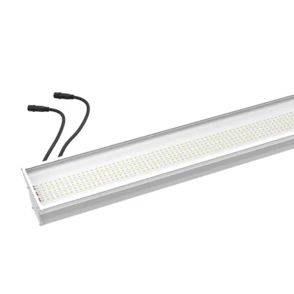 szAMB barn lighting