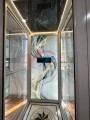 Konut Kaldırma Asansörü Yolcu Mil Asansörleri