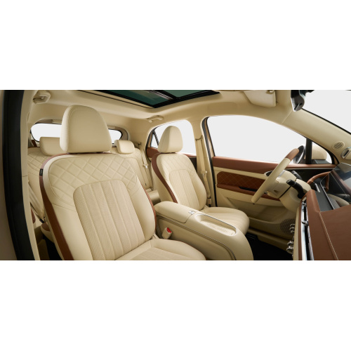 2024 501 км GWM ORA Good Cat Luxury Edition