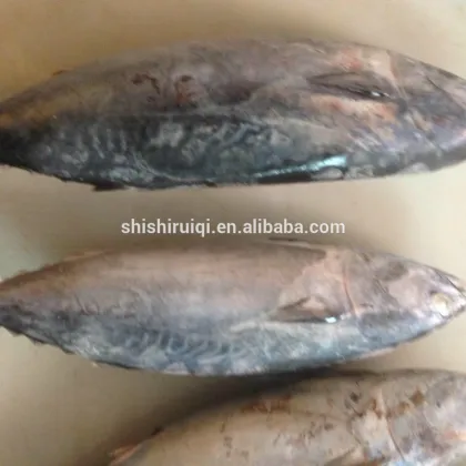 canned tuna ,bonito tuna