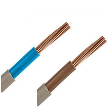 Double PVC Insulated SDI Cable 6181Y to BS6004