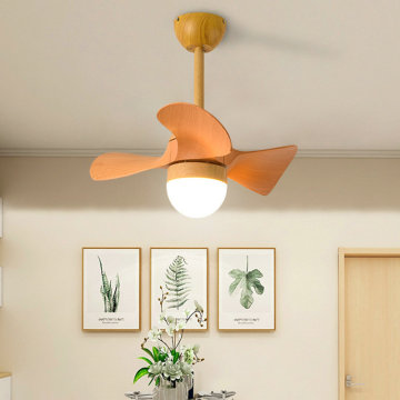 LEDER Contemporary Ceiling Fans With Lights