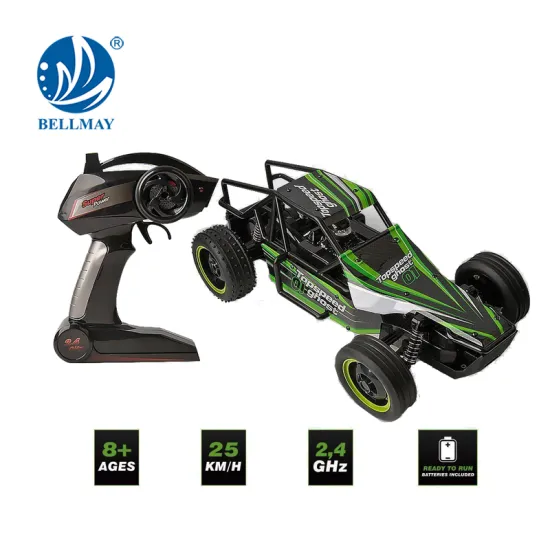 New Product 1/10 Scale High Speed RC Car Make More Fun for Wholesales