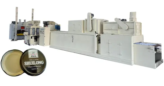 Automatic Cap Lining Machine