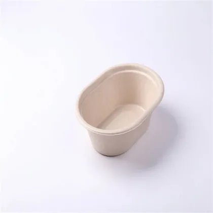 Biodegradable Fast Food Container/Food Box/Lunch Box