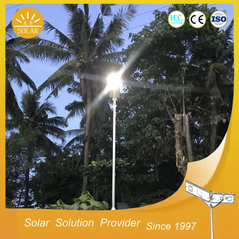 6m Pole Mounted Split Panel High Lumen Solar Street Light