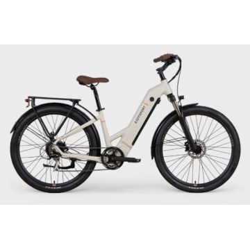 City 2 Person Electric Bikes