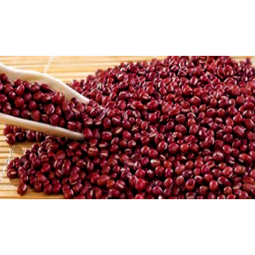 Premium Adzuki Bean Extract 10: 1 for Natural Health Boost