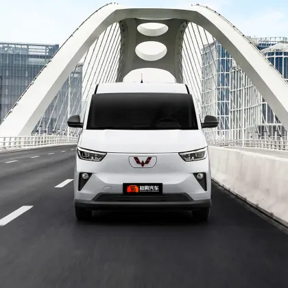 2024 SAIC-GM-Wuling Yangguang Adult Cheap 4 Wheel Electric Vehicle for Sale