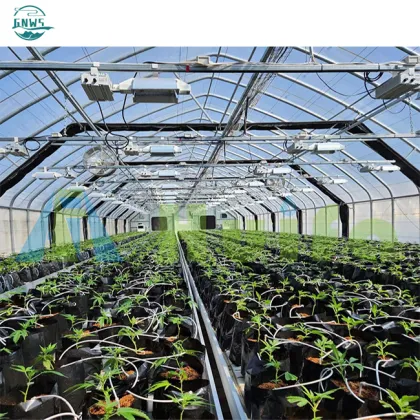 Rapid Delivery Solutions for Commercial Hemp Greenhouse Shading Systems
