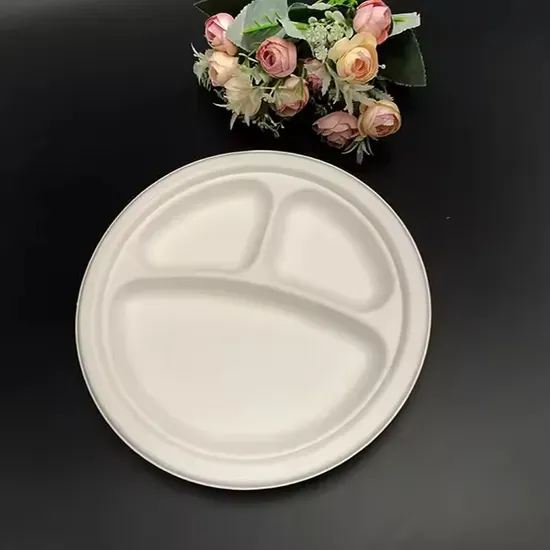 Disposable Compostable 9 Inch Sugarcane Bagasse Cake Plates