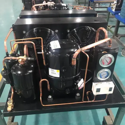 R404a TAG2522Z 5HP Air-Cooled Tecumseh Compressor for Cold Room Condensing Units