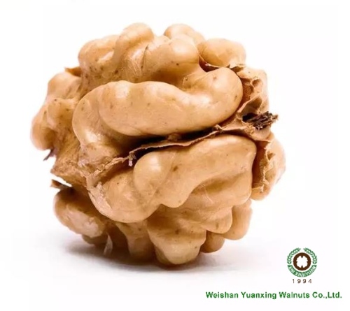 Bahagian Walnut Balut Walnut Terbaik untuk Dijual