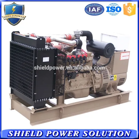 70KVA CNG Generator Set With ISO Certificate Factory Natural Gas/Biogas Generator