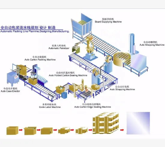 Automatic Case Packer and Carton Sealing Production Line